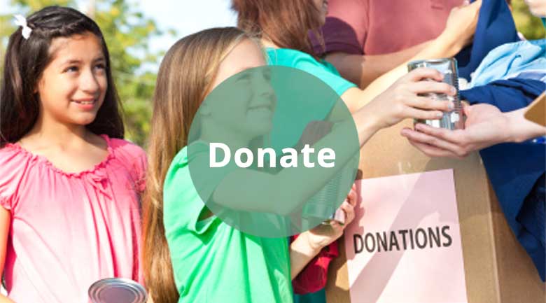 Donate to the LSA Civic Society