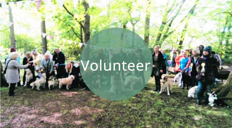 Volunteer at the LSA Civic Society & help us make a real difference to your town